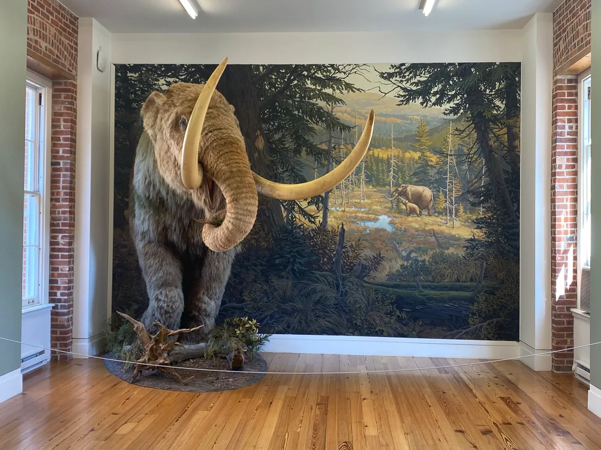 Staten Island Museum business photo