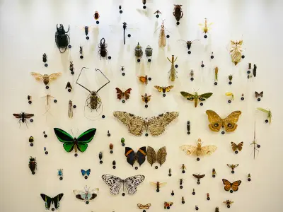 Staten Island Museum, Google photo 4